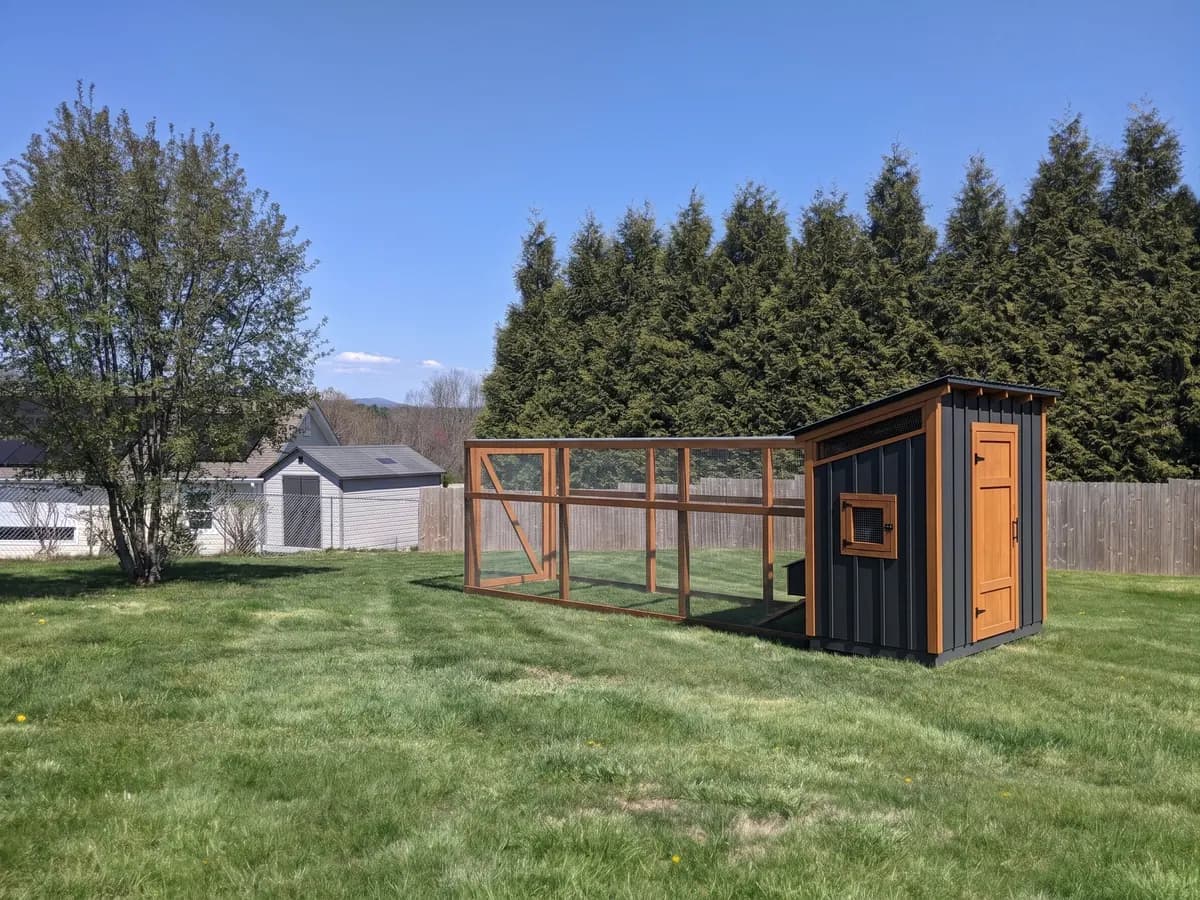 Large shed coop with long run in a backyard (representative image)