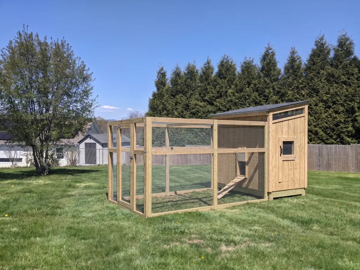 Low-slope modern coop, Natural style (representative image)
