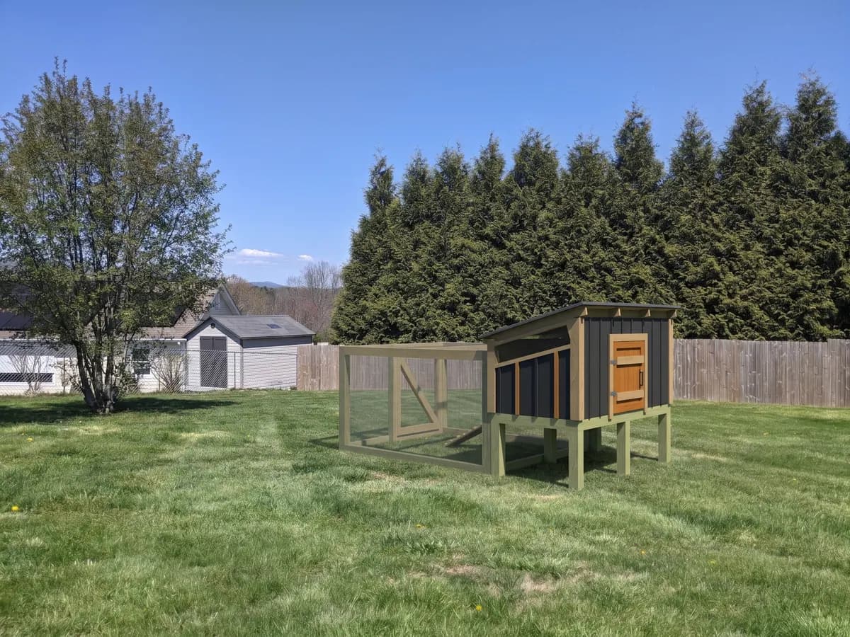 Small minimal coop, Modern Barn style (representative image)
